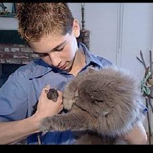 Justin Berfield with Smokey, his Persian longhair cat