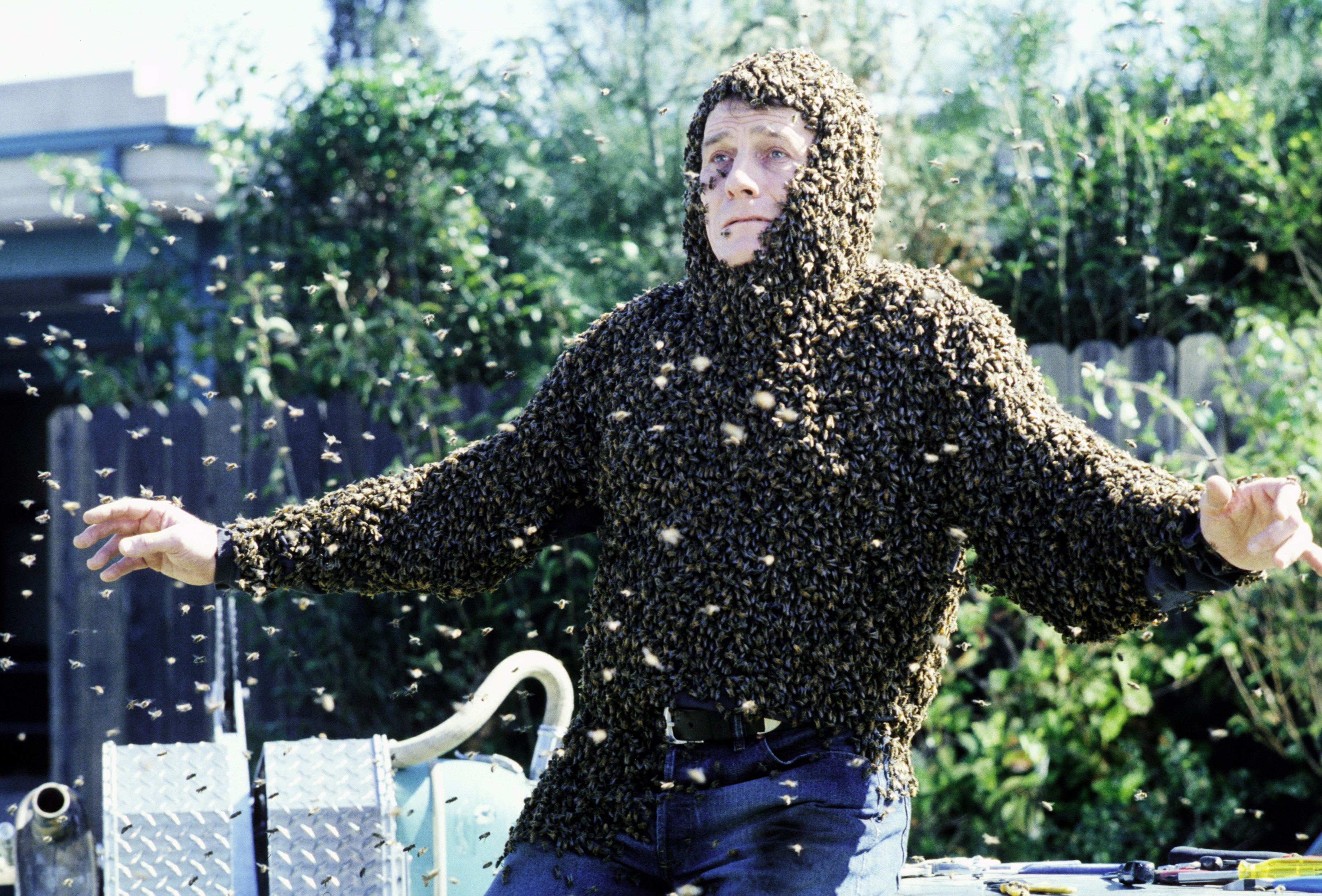 1x14 The Bots And The Bees still