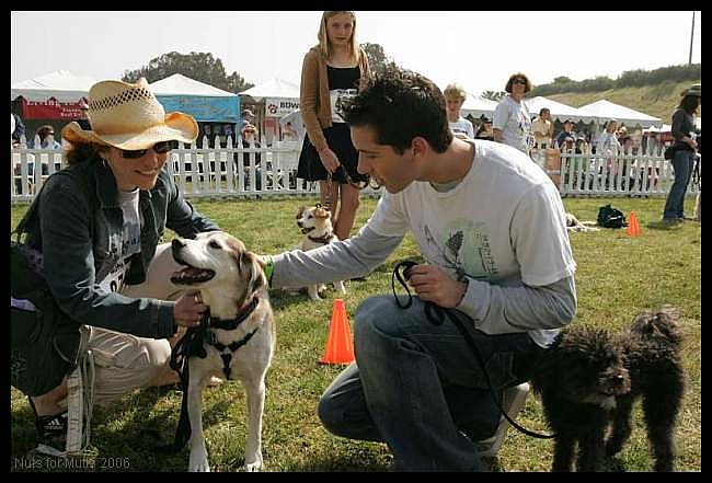 Justin Berfield: New Leash On Life's 5th Annual Nuts For Mutts Dog Show