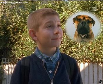 3x17 Dewey's Dog - Malcolm in the Middle VC - Gallery Photos